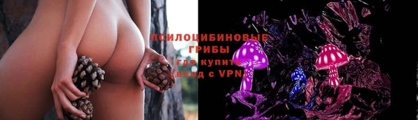 молекула духа Армянск