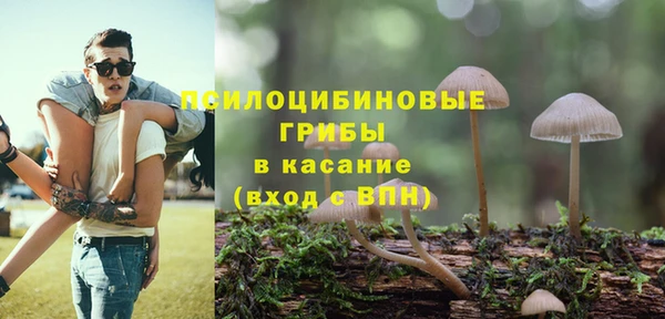 молекула духа Армянск