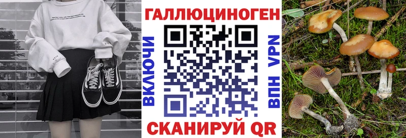 где купить наркоту  Нижний Ломов  Псилоцибиновые грибы мухоморы 