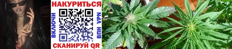 Конопля SATIVA & INDICA  где купить наркотик  Нижний Ломов 